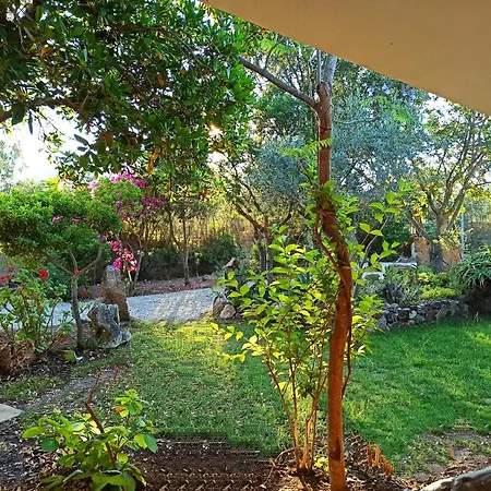 Il Ginepro Holiday home *