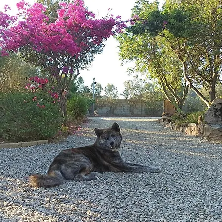 Сasa de vacaciones Il Ginepro *